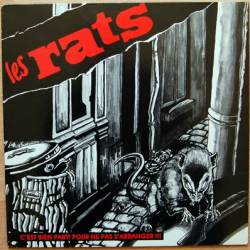 Les Rats : C'Est Bien Parti pour Ne Pas S'Arranger !!!